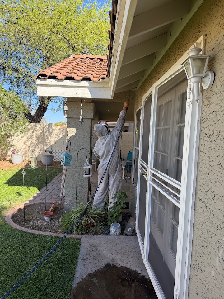 Buzz Tech Bee Removal project