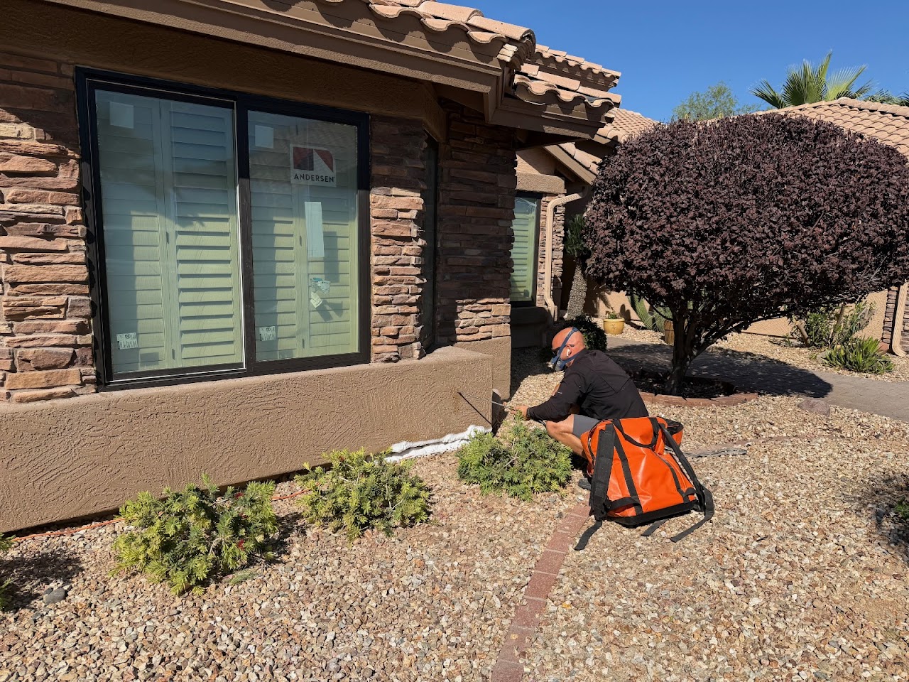 Buzz Tech Bee Removal project